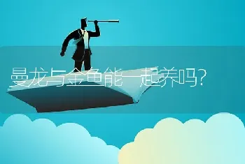 怎样正确喂养孔雀鱼，孔雀鱼喜欢哪些饵料？