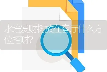 水培发财树放在客厅什么方位招财？