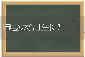 陆龟多大停止生长？