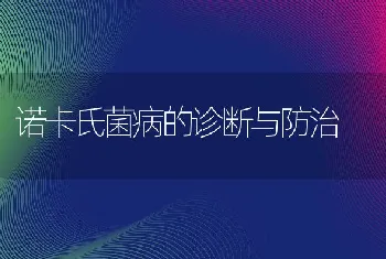 诺卡氏菌病的诊断与防治