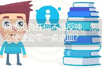 狗狗没有任何不良反映，怎么便便会带一点点血？