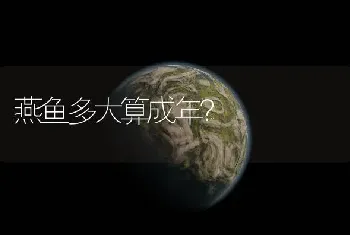 燕鱼多大算成年？