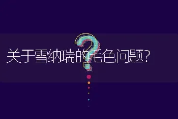 关于雪纳瑞的毛色问题？