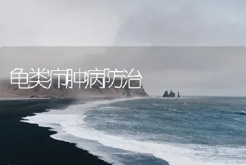 龟类疖肿病防治