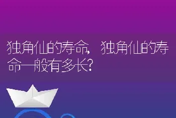 独角仙的寿命，独角仙的寿命一般有多长？