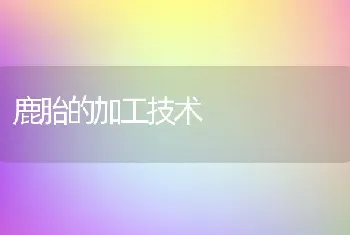 鹿胎的加工技术