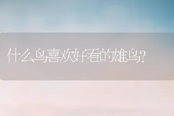 什么鸟喜欢好看的雄鸟？