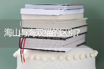 海山与海双猫的区别？