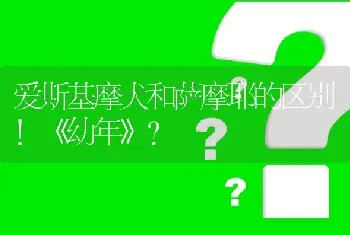 爱斯基摩犬和萨摩耶的区别！《幼年》？