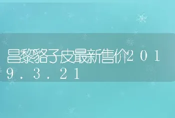 昌黎貉子皮最新售价2019.3.21