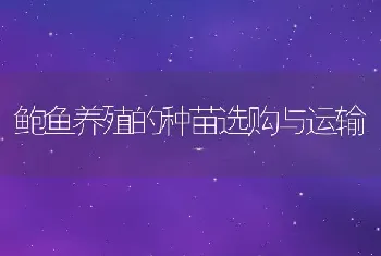 鲍鱼养殖的种苗选购与运输