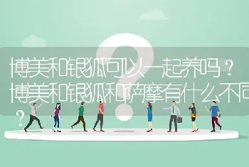 博美和银狐可以一起养吗？博美和银狐和萨摩有什么不同？