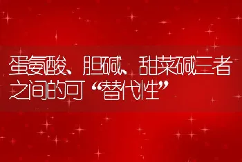 蛋氨酸、胆碱、甜菜碱三者之间的可替代性