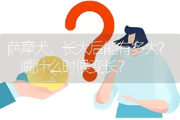 萨摩犬，长大后能有多大? 嘴什么时候变长？