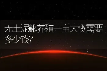 无土泥鳅养殖一亩大概需要多少钱？