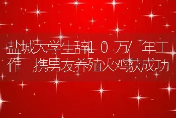 盐城大学生辞10万/年工作 携男友养殖火鸡获成功