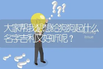 大家帮我想想给狗狗起什么名字吉利又好听呢？