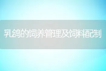 乳鸽的饲养管理及饲料配制