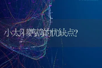 小太阳鹦鹉的优缺点？