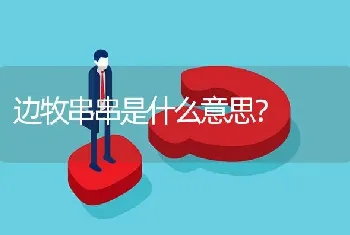 边牧串串是什么意思？