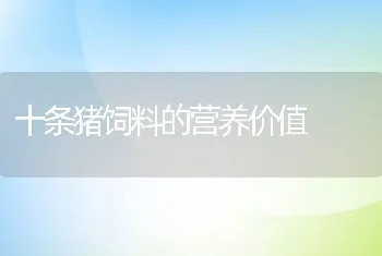 十条猪饲料的营养价值