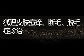 狐狸皮肤瘙痒、断毛、脱毛症诊治