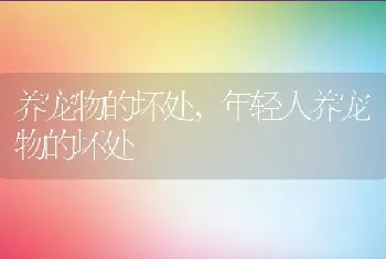 养宠物的坏处，年轻人养宠物的坏处