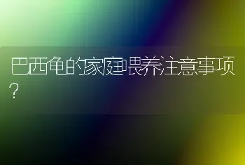 腿长尾巴很长毛的狗？