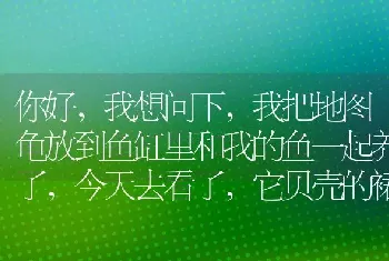 你好，我想问下，我把地图龟放到鱼缸里和我的鱼一起养了，今天去看了，它贝壳的裙边有点软，有事么？