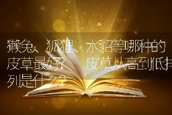 獭兔、狐狸、水貂等哪种的皮草最好? 皮草从高到低排列是什么？