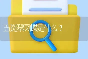 五斑翠凤蝶是什么？