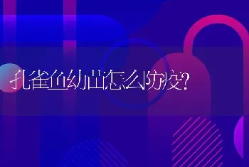 孔雀鱼幼苗怎么防疫？