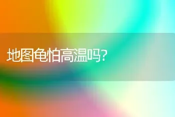 狗为什么会对主人那么忠诚？