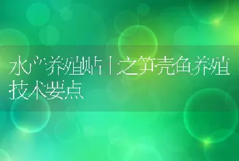 水产养殖贴士之笋壳鱼养殖技术要点