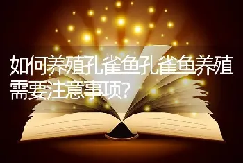 如何养殖孔雀鱼孔雀鱼养殖需要注意事项？