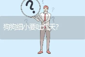 狗狗细小要吐几天？