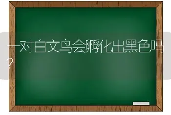 印度星龟能长多大体长30-38公分？