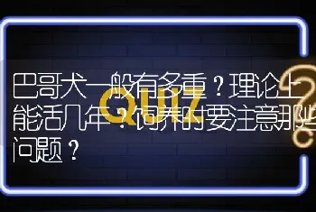 巴哥犬一般有多重？理论上能活几年？饲养时要注意那些问题？