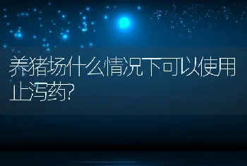 海南水产专家支招鱼虾混养有利防控对虾疾病