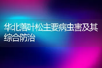 华北落叶松主要病虫害及其综合防治