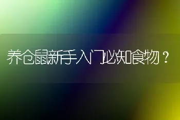 两只母鹦鹉能放在一起吗？