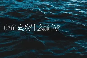 虎鱼喜欢什么颜色？