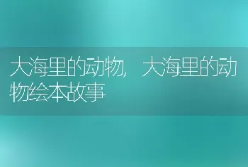 大海里的动物，大海里的动物绘本故事