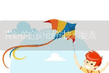 青虾的鱼虾混养技术要点