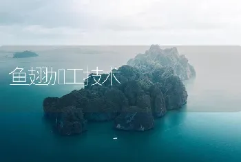 鱼翅加工技术