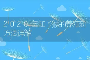 2020年知了猴的养殖新方法详解