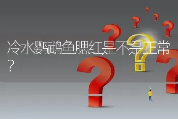 蓝紫金刚鹦鹉的具体资料？