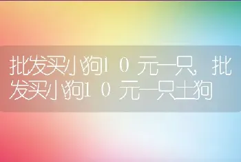 批发买小狗10元一只，批发买小狗10元一只土狗