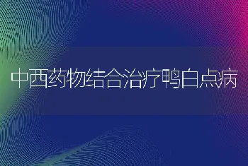 中西药物结合治疗鸭白点病