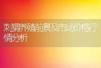 刺猬养殖前景及市场价格行情分析